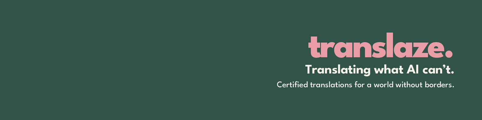 translaze. LinkedIn banner 1 — Main Brand