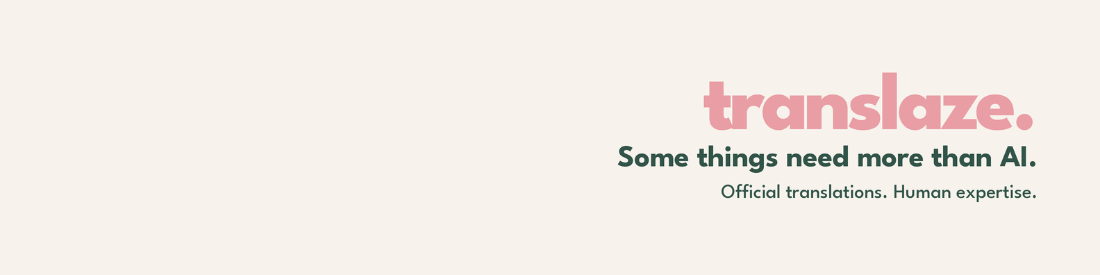 translaze. LinkedIn banner 6 — Human Expertise